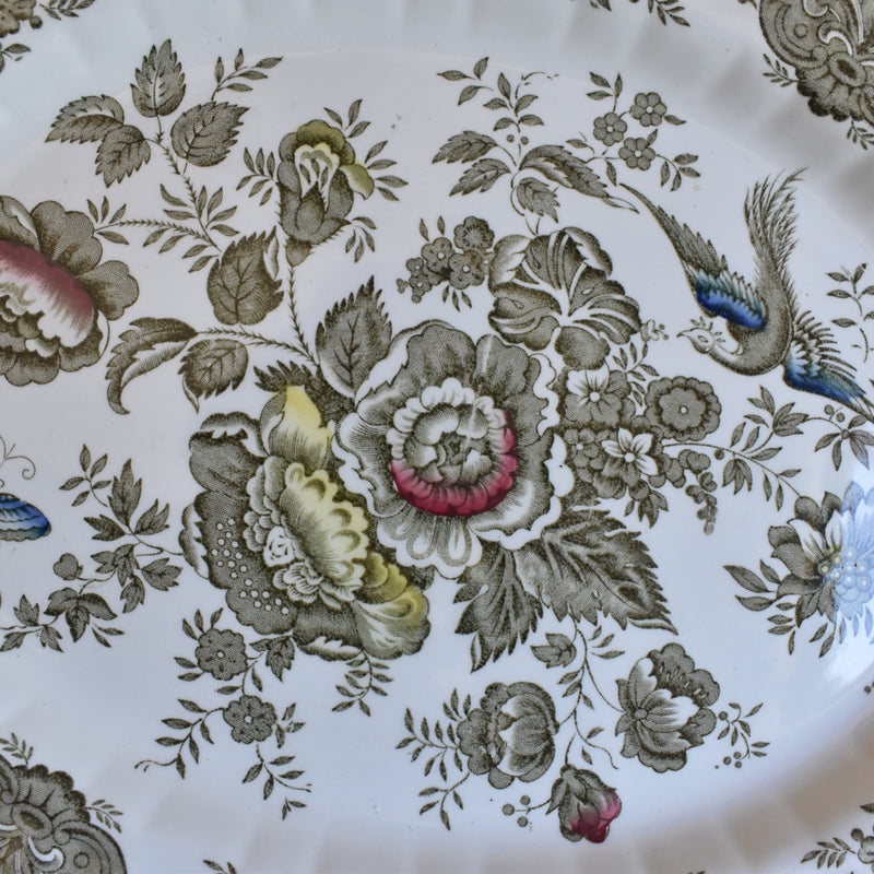 Vintage Oval Plate, Staffordshire Windsor