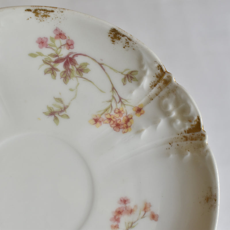 Antique Cup & Saucer CFH/GDM (Haviland) B