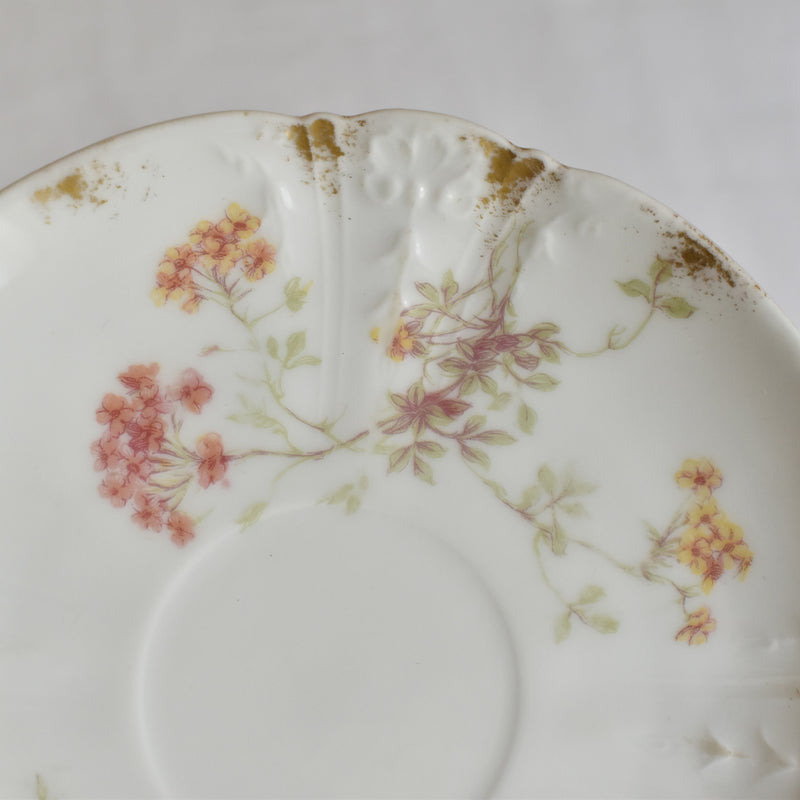 Antique Cup & Saucer CFH/GDM (Haviland) B