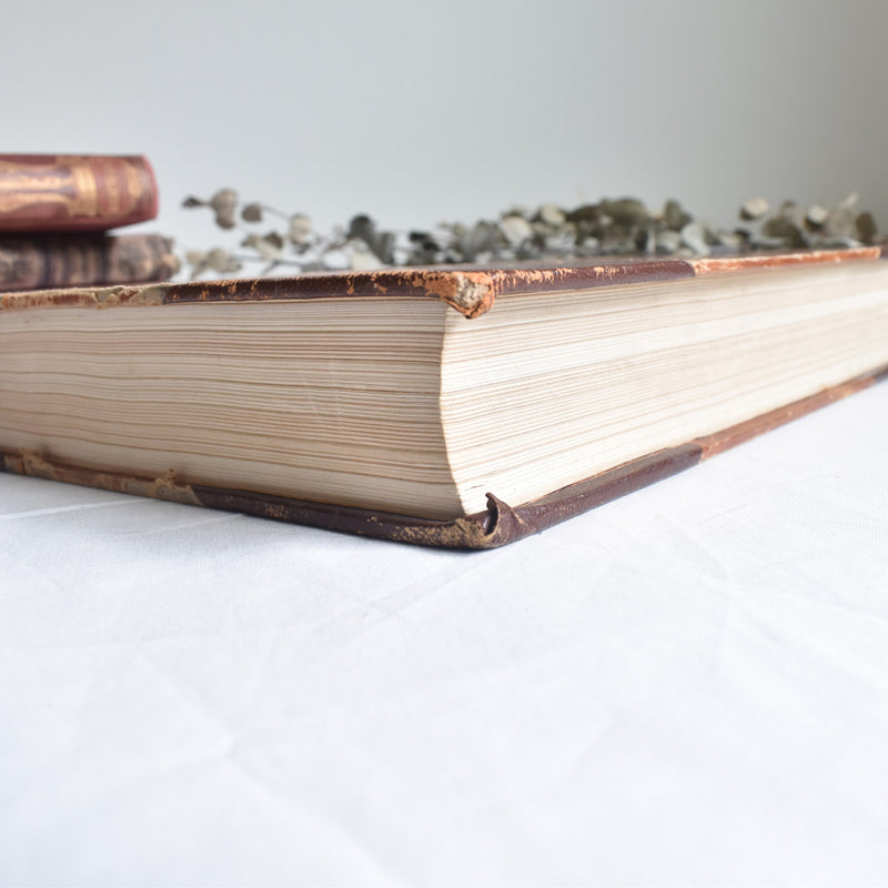 Vintage Book Le Pays de France