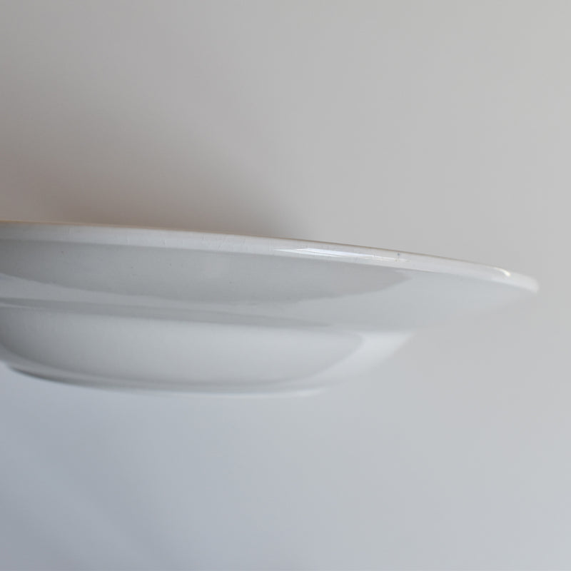Vintage Deep Plate, Digoin & Sarreguemines, Efel C