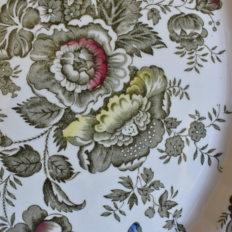 Vintage Oval Plate, Staffordshire Windsor