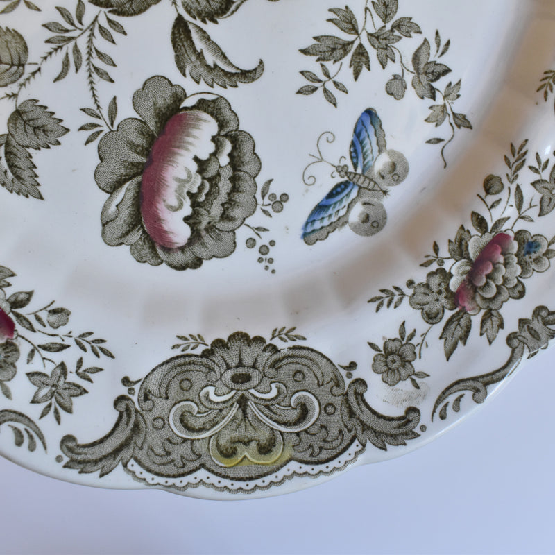 Vintage Oval Plate, Staffordshire Windsor