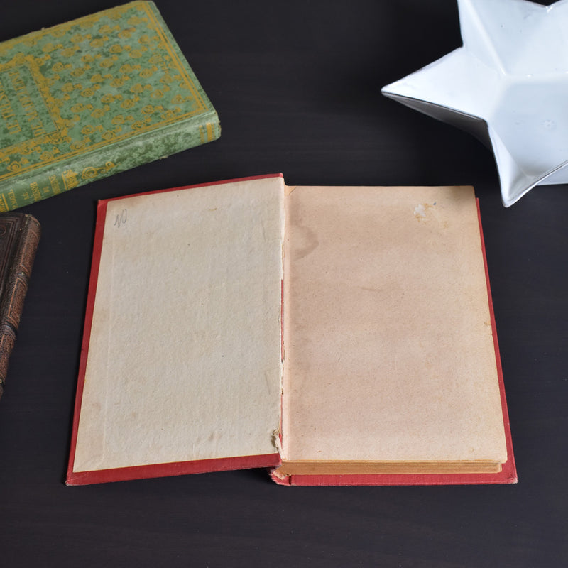 Antique Book: Don Quichotte