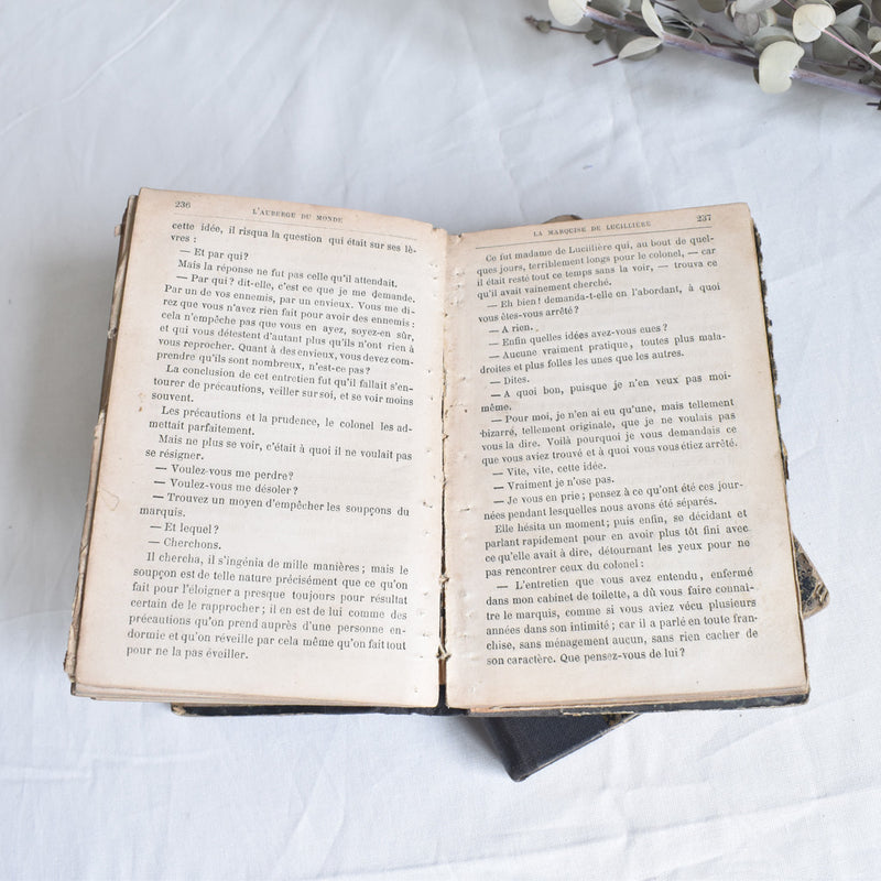 Antique Books - Set of 2