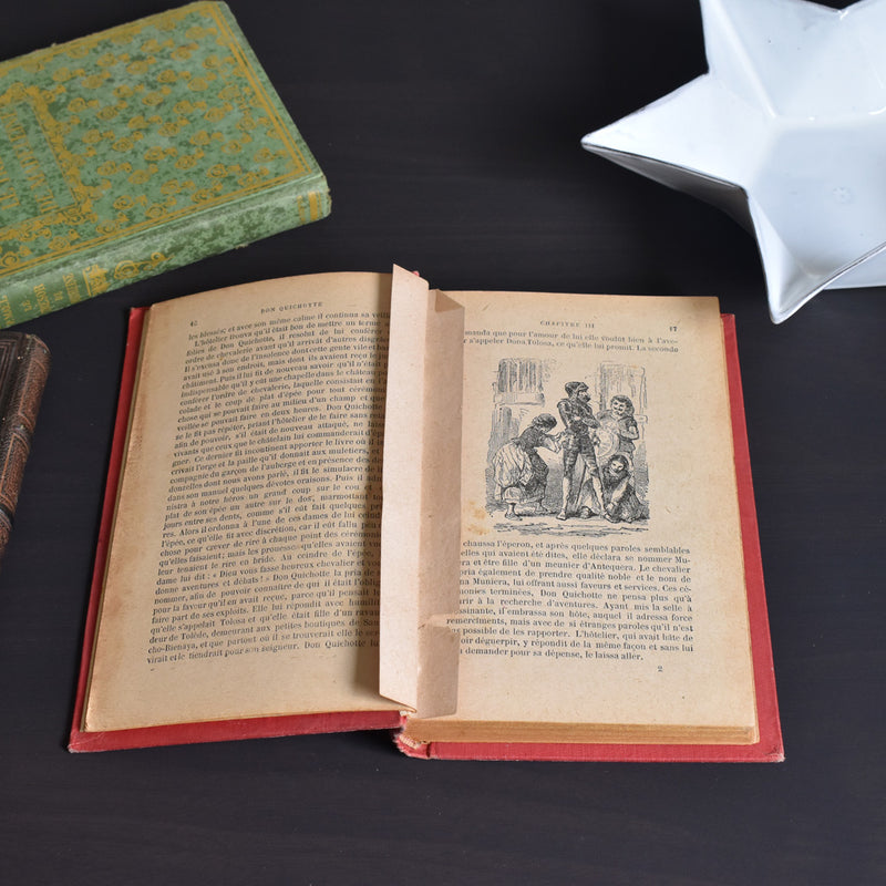 Antique Book: Don Quichotte