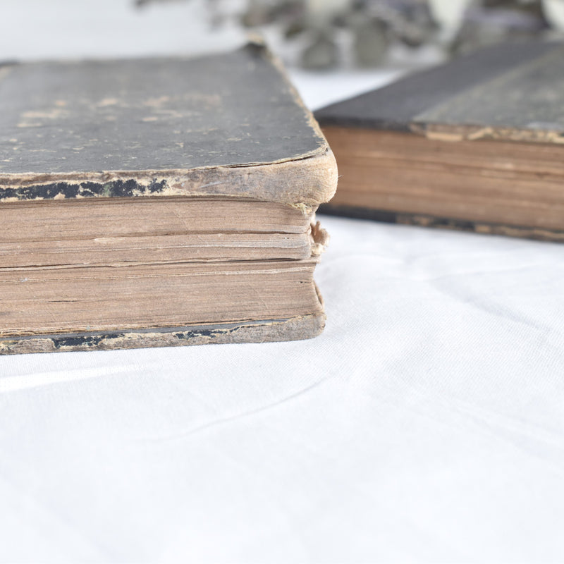 Antique Books - Set of 2
