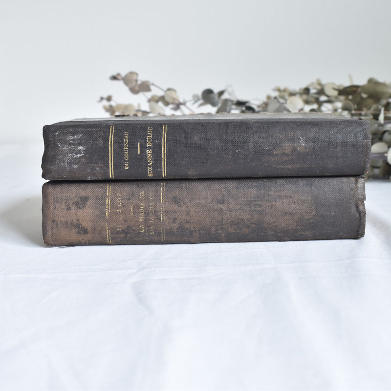 Antique Books - Set of 2