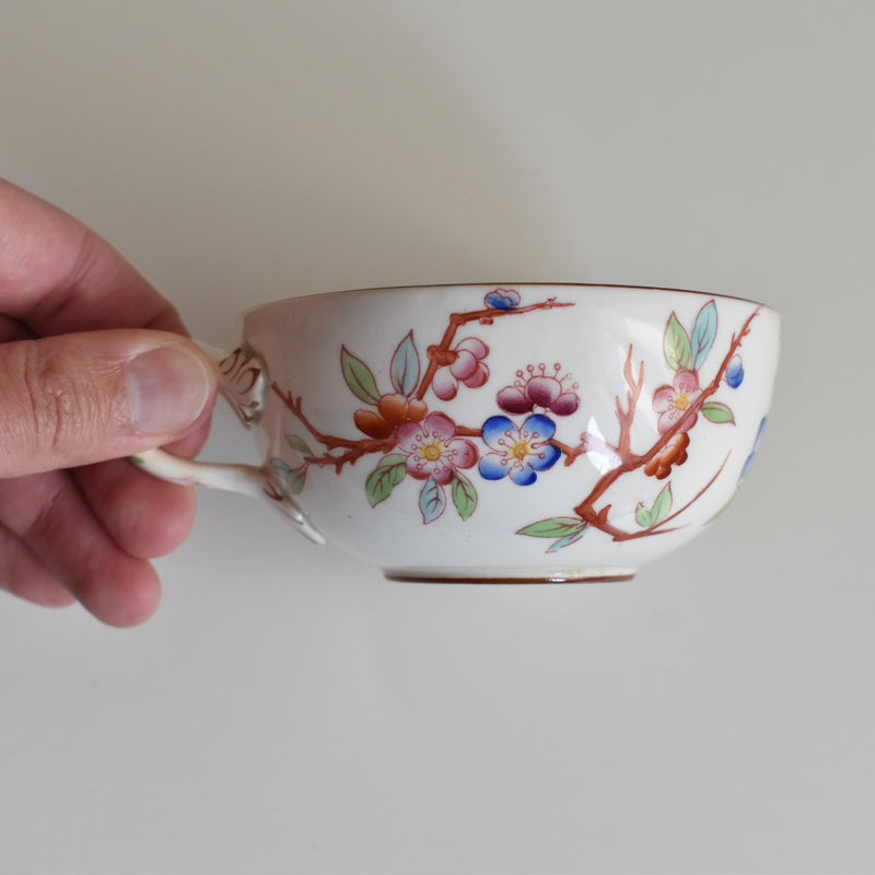 Antique Cup & Saucer Sarreguemines Minton 252 I