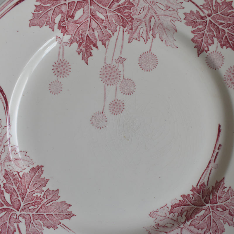 Antique plate K&G Luneville Platane K