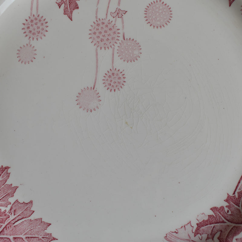 Antique plate K&G Luneville Platane K