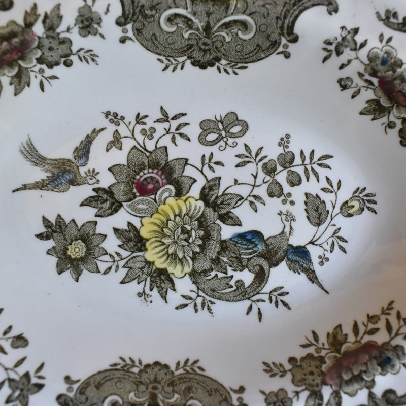 ヴィンテージラヴィエ スターフォードシャイア Windsor