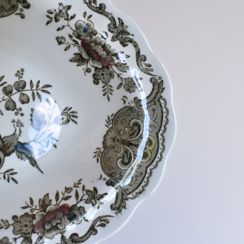 ヴィンテージラヴィエ スターフォードシャイア Windsor