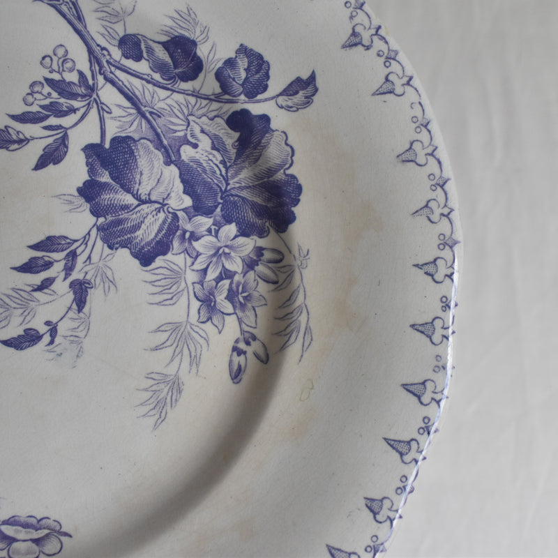 Antique Footed Plate U&C Sarreguemines Flore