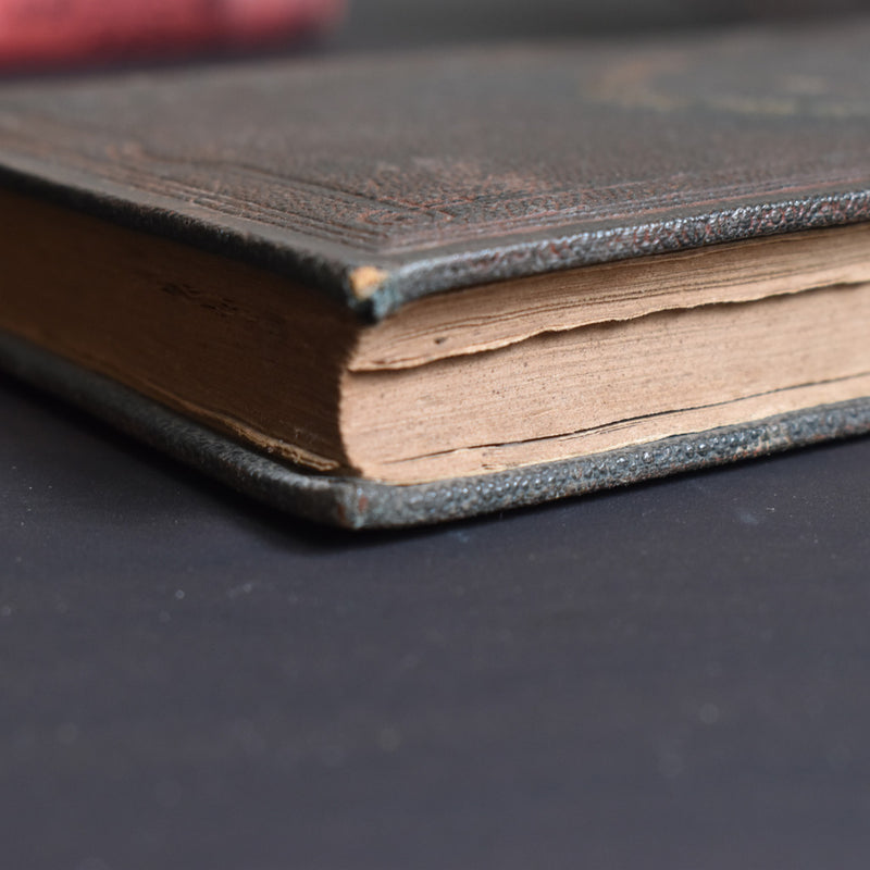 Antique book: Les animaux Industrieux