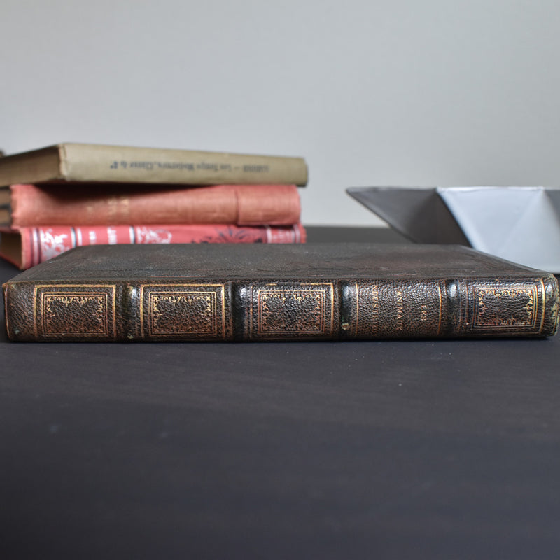 Antique book: Les animaux Industrieux