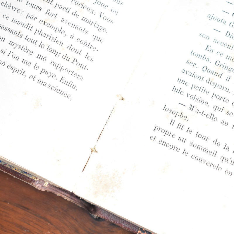 Antique book Victor Hugo "Notre Dame de Paris"
