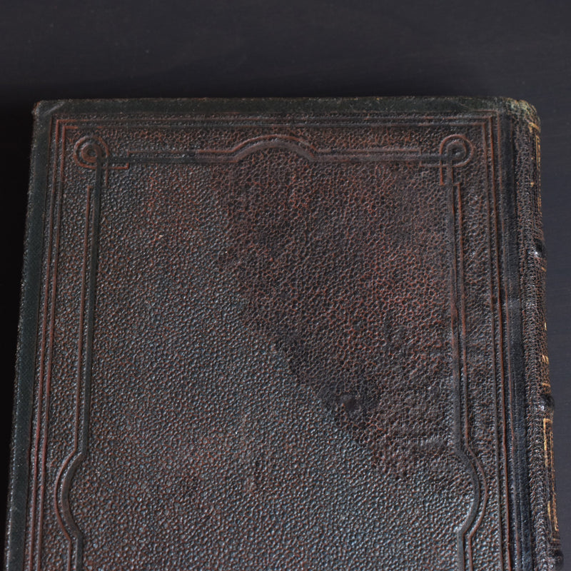 Antique book: Les animaux Industrieux