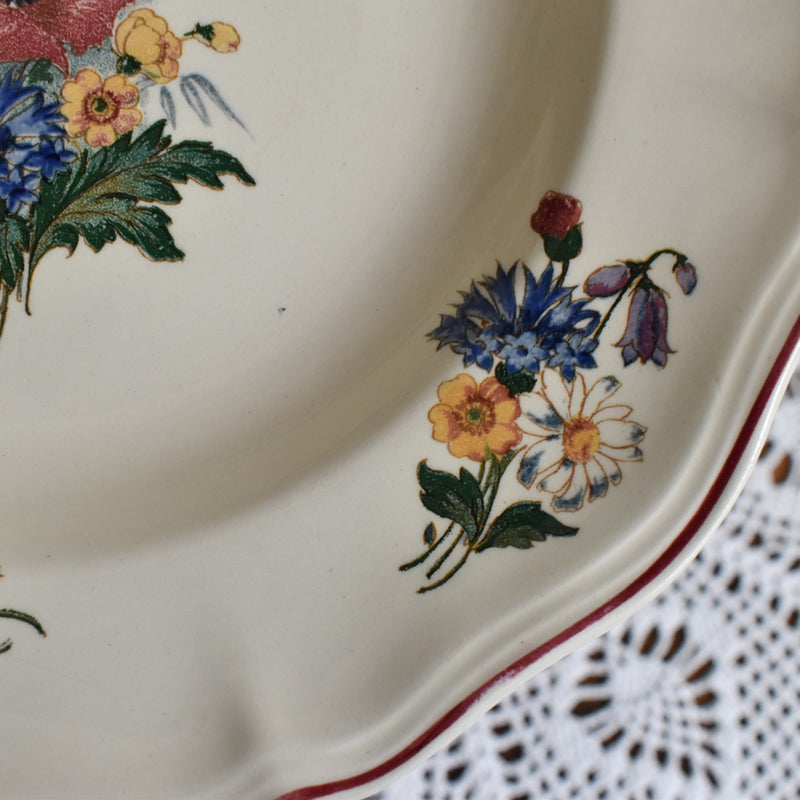 Vintage Deep Plate, Digoin & Sarreguemines, "Agreste A"
