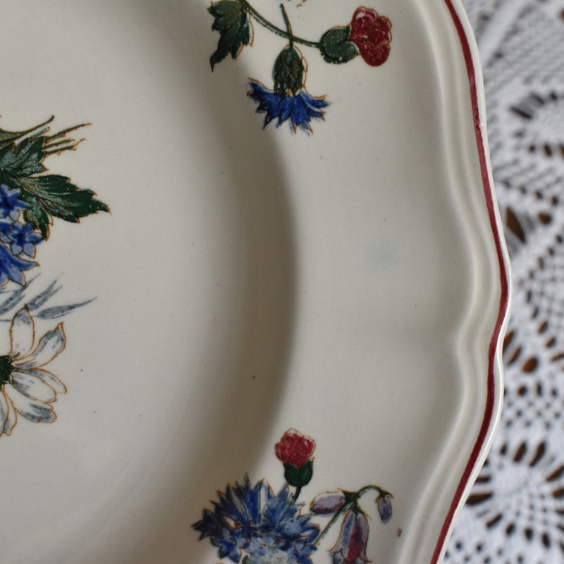 Vintage Deep Plate, Digoin & Sarreguemines, "Agreste A"