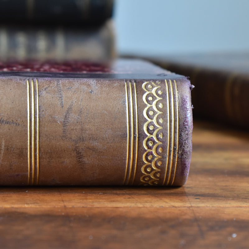 アンティーク本 moliere "Oeuvres completes tome 8"