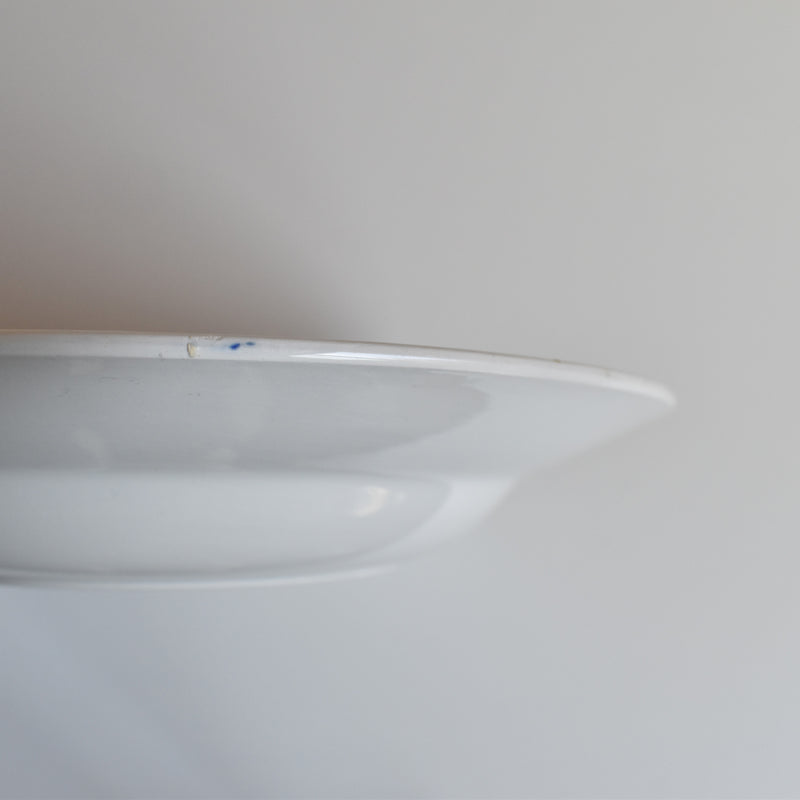 Vintage Deep Plate Digoin & Sarreguemines Efel F
