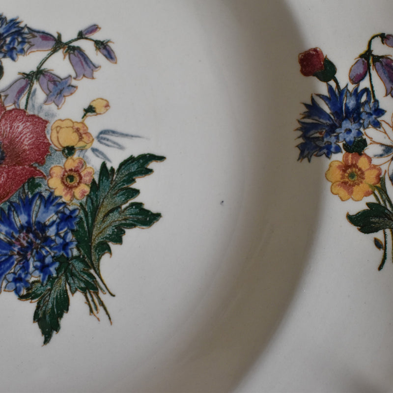 Vintage Deep Plate, Digoin & Sarreguemines, "Agreste A"