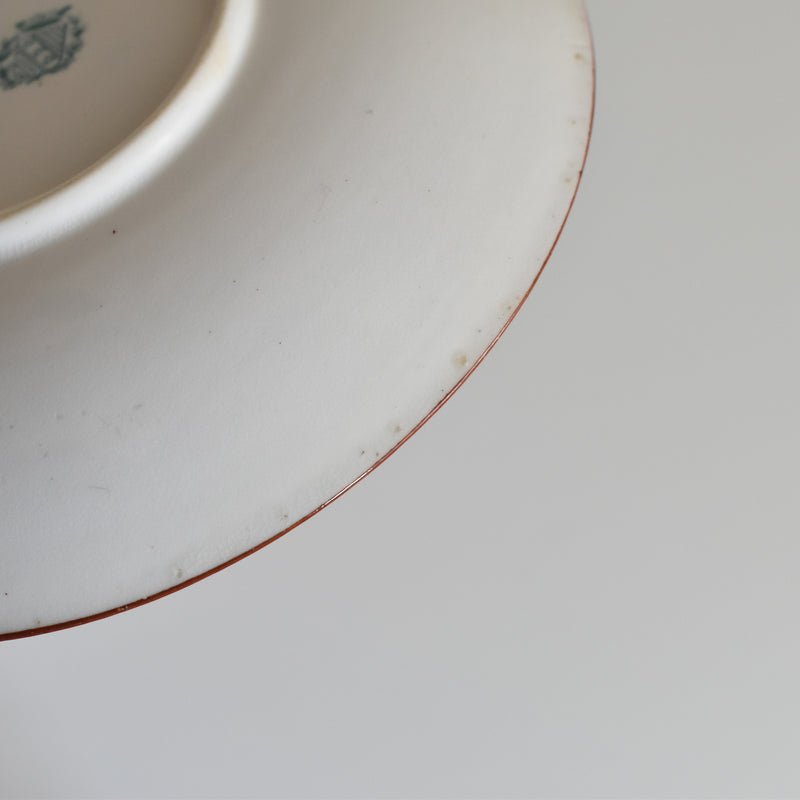 Antique Cup & Saucer Sarreguemines Minton 252 G