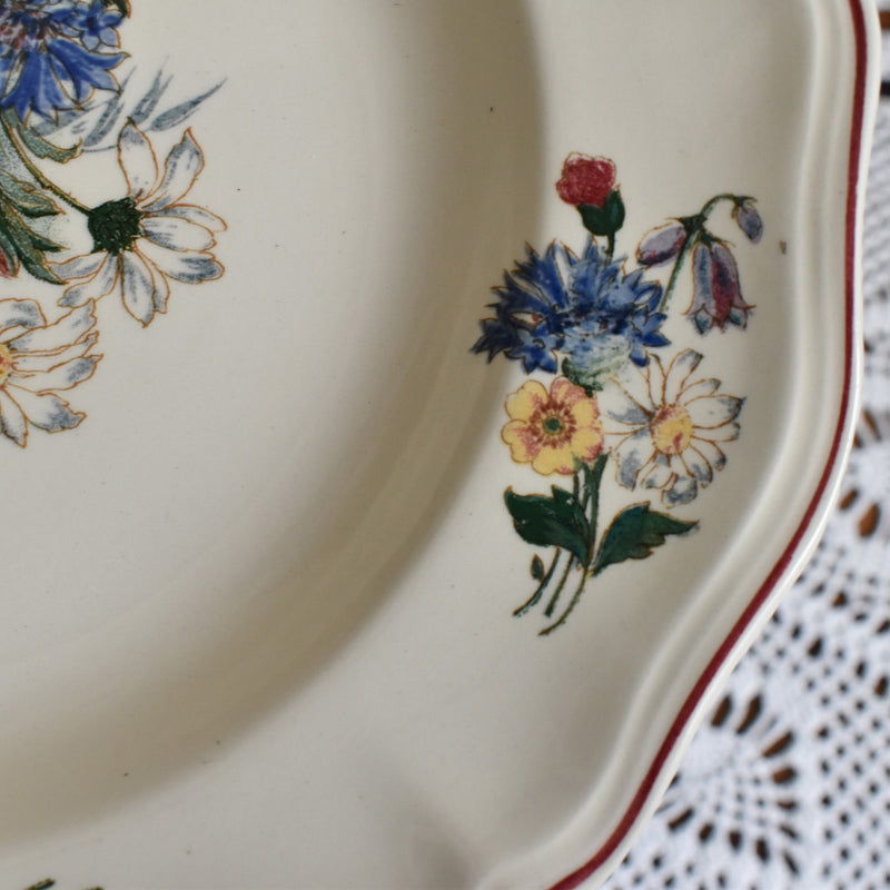 Vintage Deep Plate, Digoin & Sarreguemines, "Agreste A"