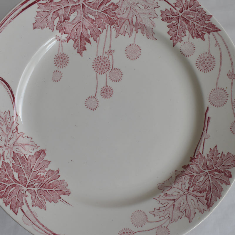 Antique plate, K&G Lunéville, Platane M