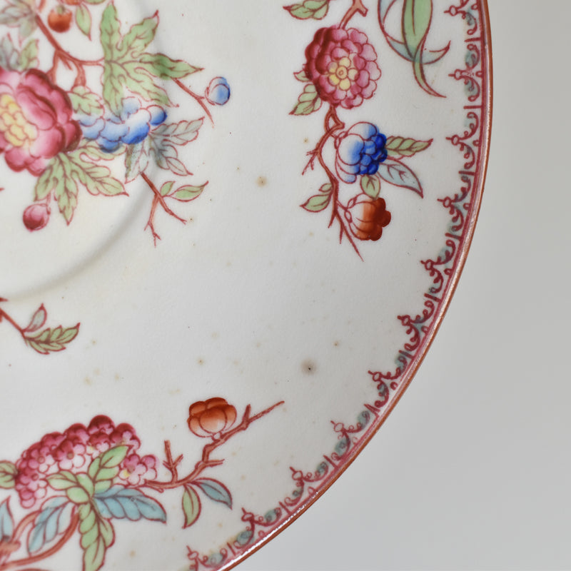 Antique Cup & Saucer Sarreguemines Minton 252 G