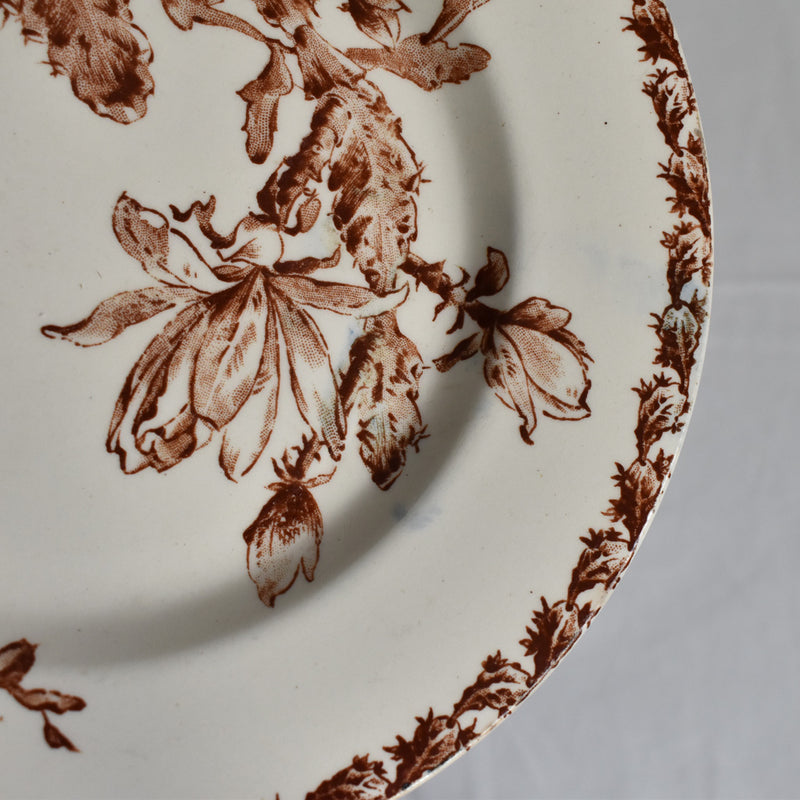 Antique Pedestal Cake Stand - Gien Cactus
