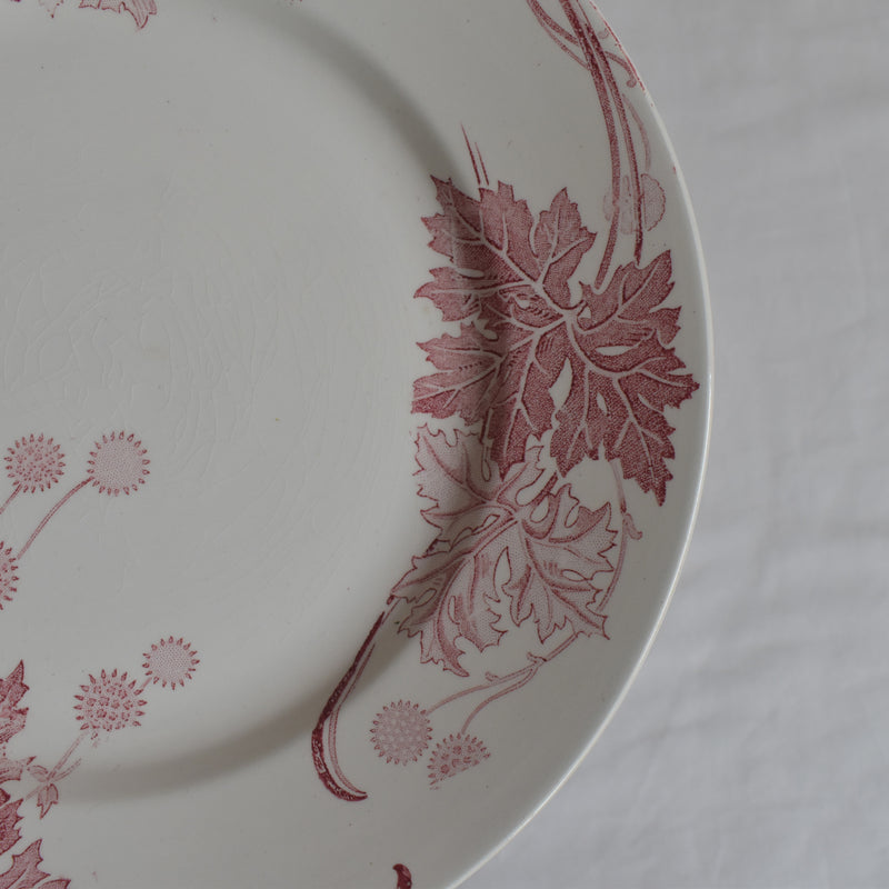 Antique Plate K&G Lunéville Platane N