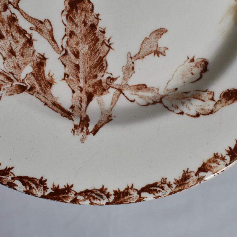 Antique Pedestal Cake Stand - Gien Cactus