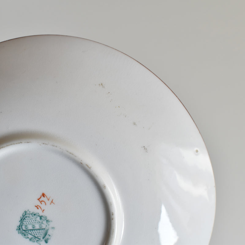 Antique Cup & Saucer Sarreguemines Minton 252 F