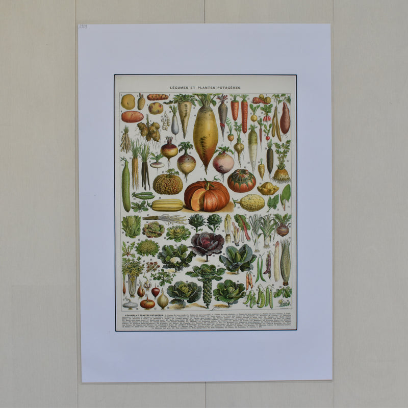 Vintage Larousse Illustration - Legumes (Vegetables)