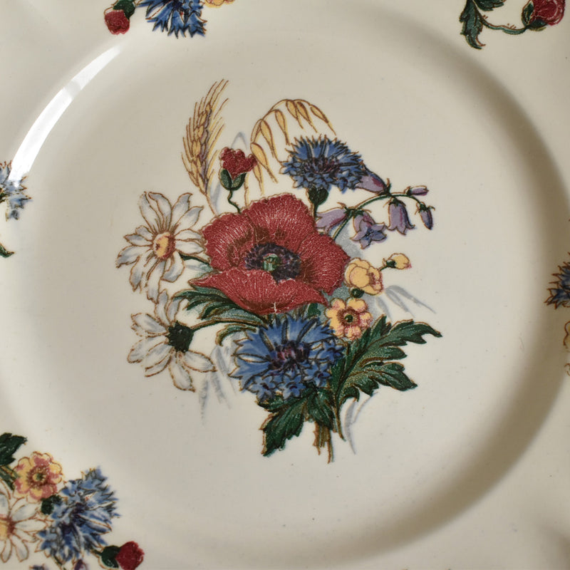 Vintage Plate Digoin & Sarreguemines Agreste A