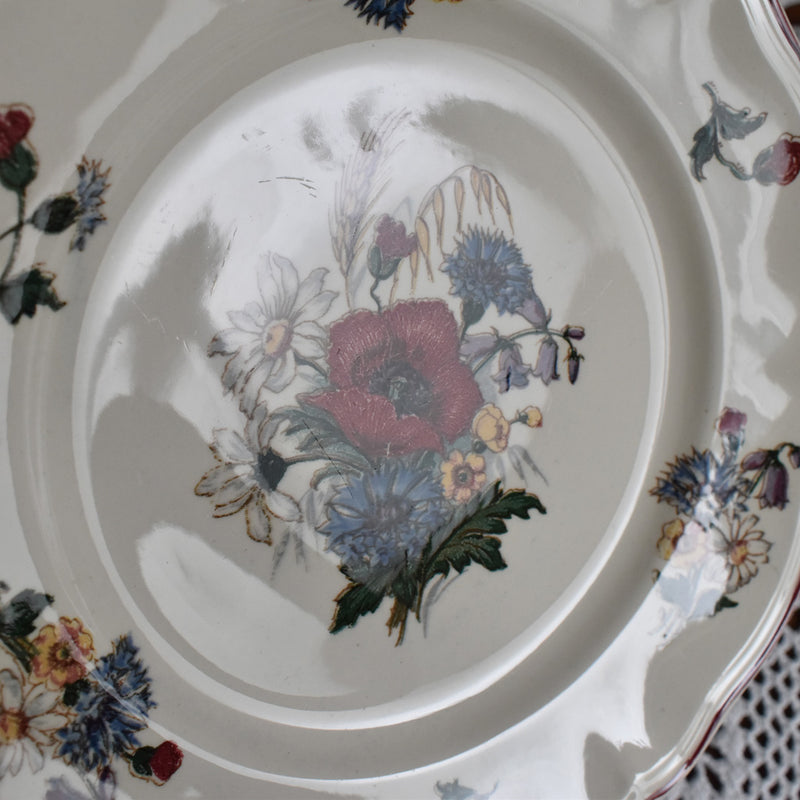 Vintage Plate Digoin & Sarreguemines Agreste A