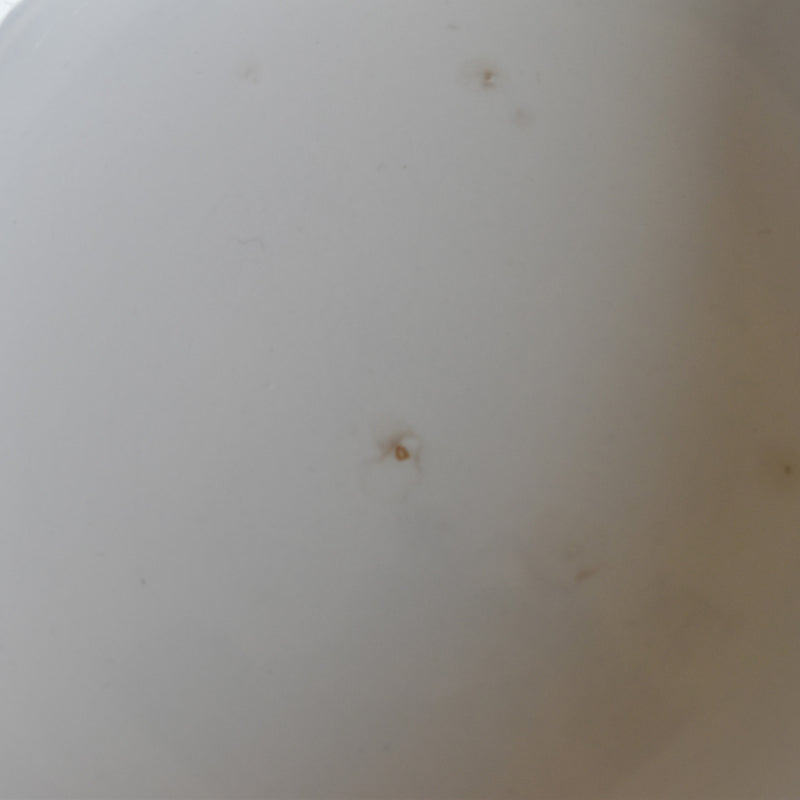 ヴィンテージサラダボウル ディゴワン＆サルグミンヌ Efel