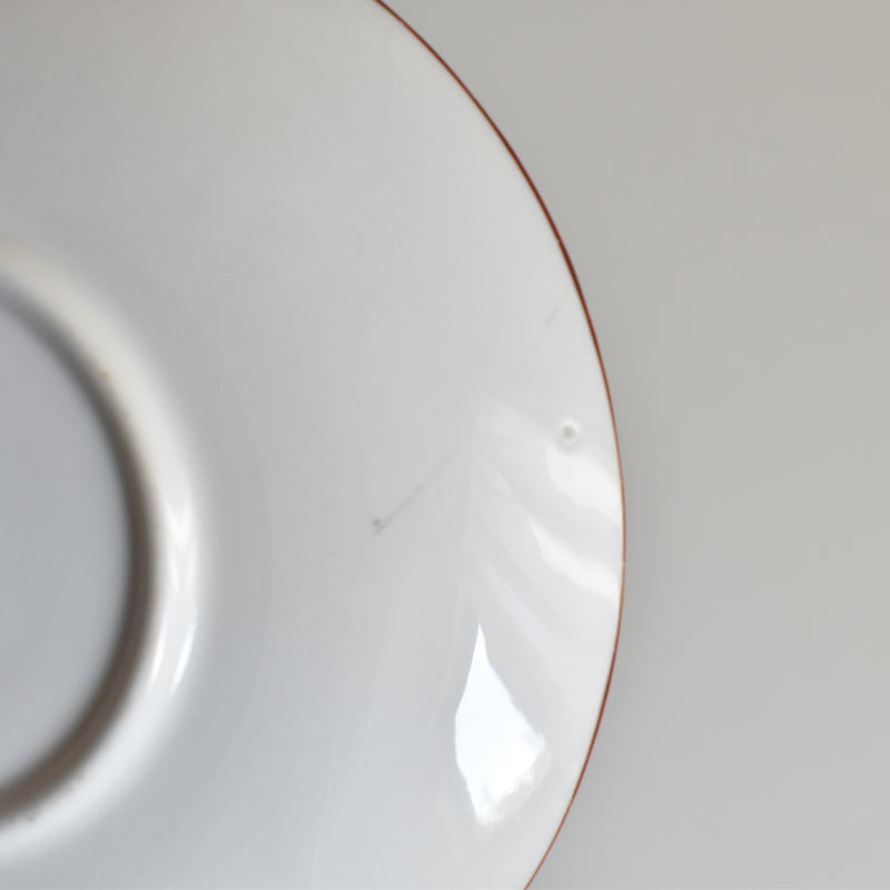 Antique Cup & Saucer Sarreguemines Minton 252 E