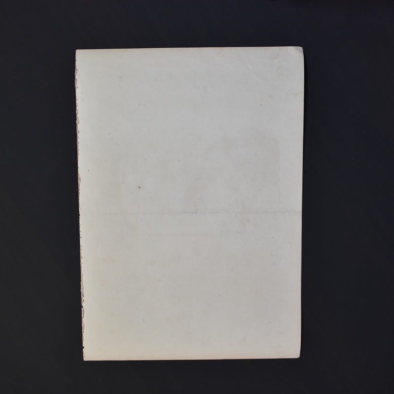Antique Print: La Mode Illustrée n5