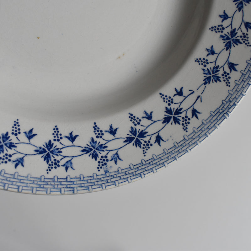 Vintage Deep Plate, Moulin des Loups "Bleuets E"