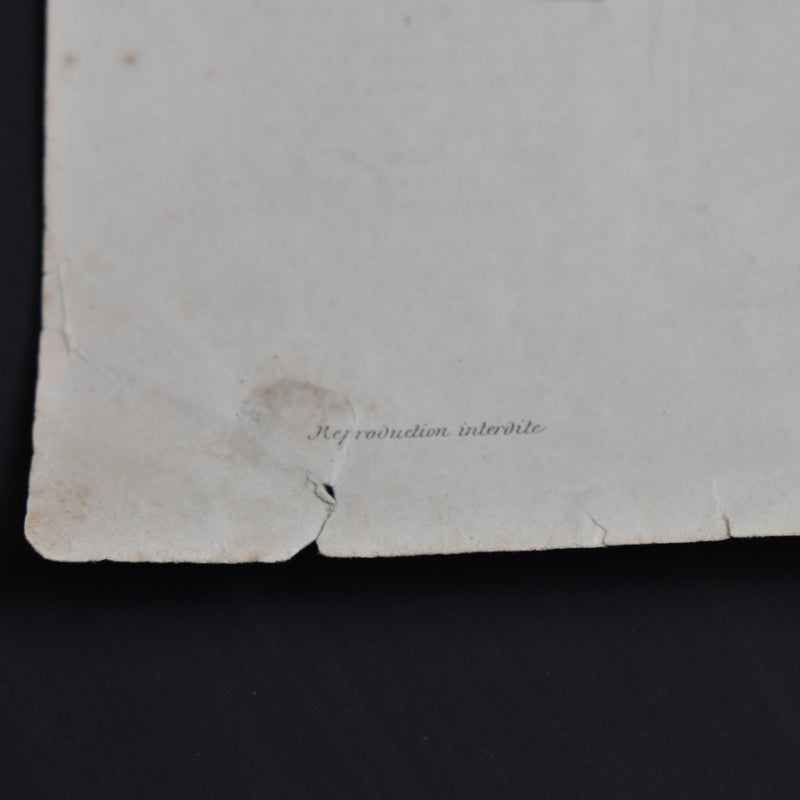 Antique Print: La Mode Illustrée