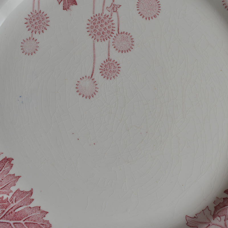 Antique Plate: K&G Luneville "Platane Q"