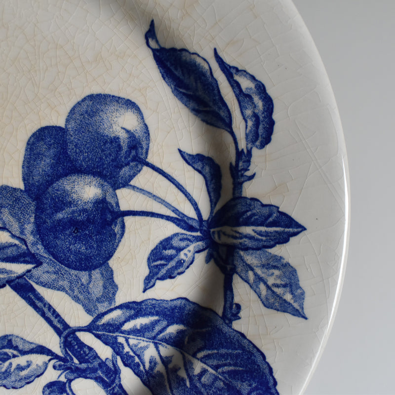 Vintage Plate Gien Primrose Bordier B