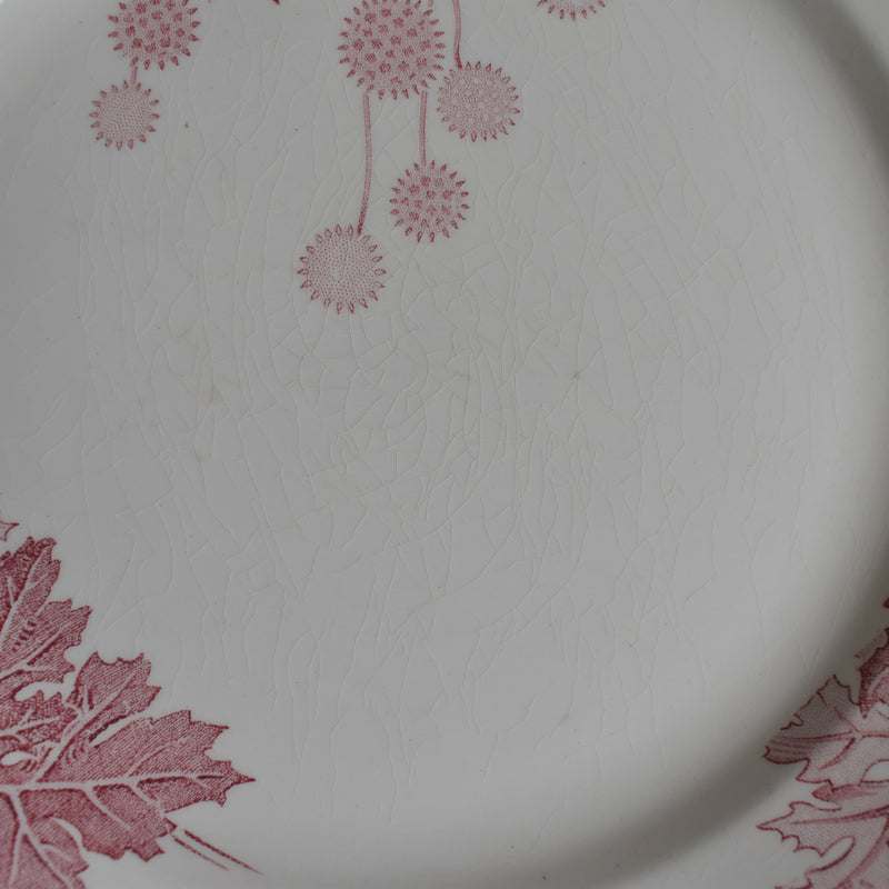 Antique Plate K&G Lunéville Platane R