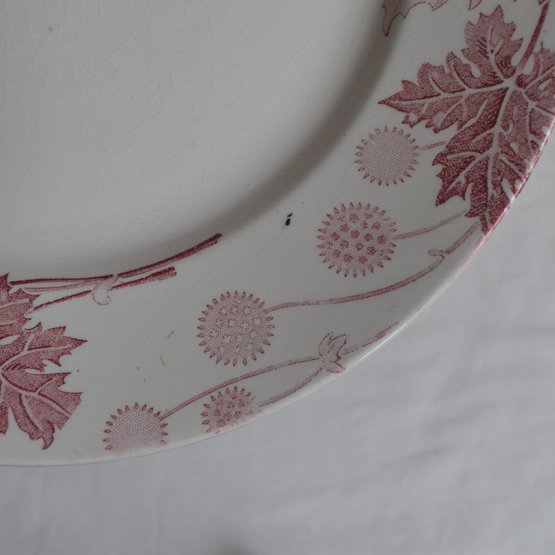 Antique Plate K&G Lunéville Platane R