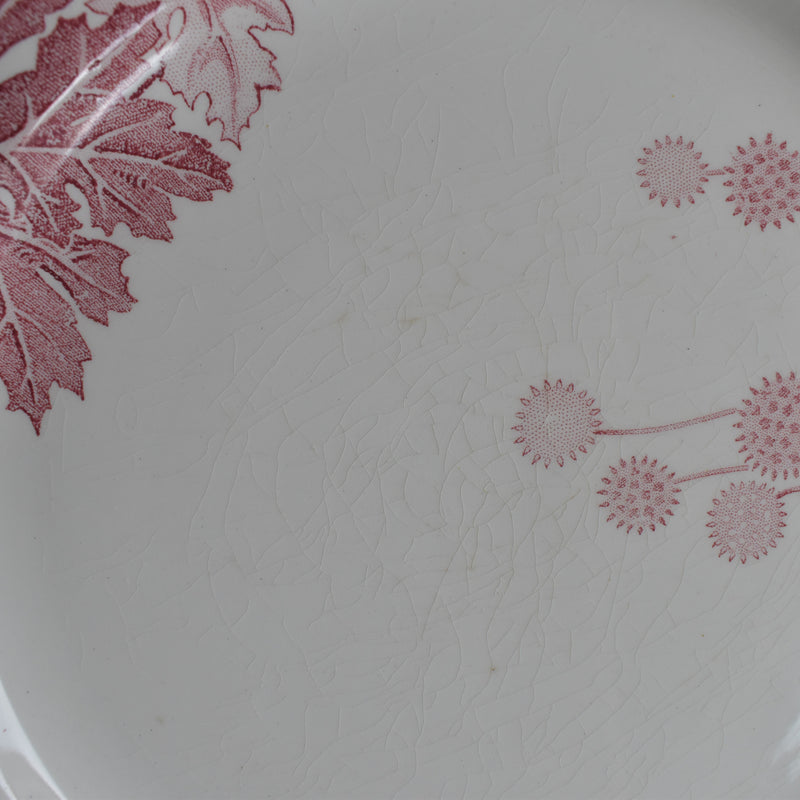Antique Plate K&G Lunéville Platane R