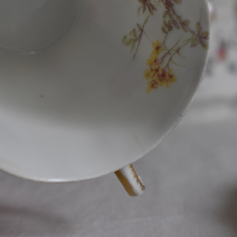 Antique Cup & Saucer CFH/GDM (Haviland) B