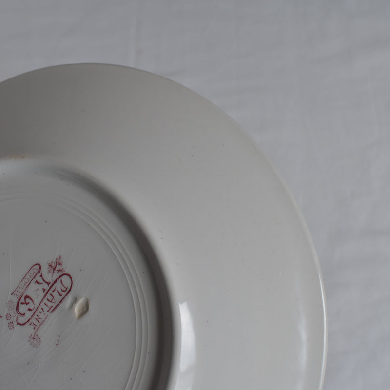 Antique Plate K&G Luneville Platane S
